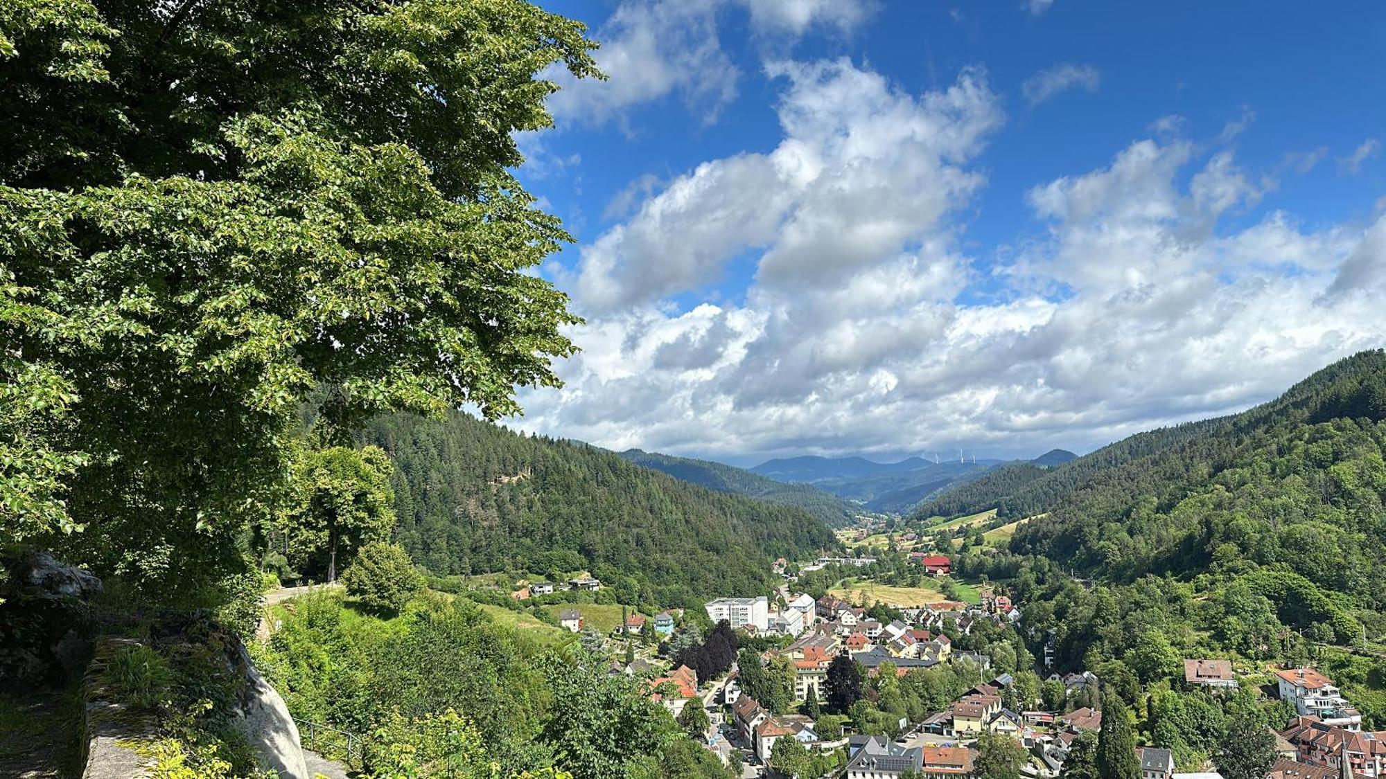 Apartment Lopezan And Living Hornberg